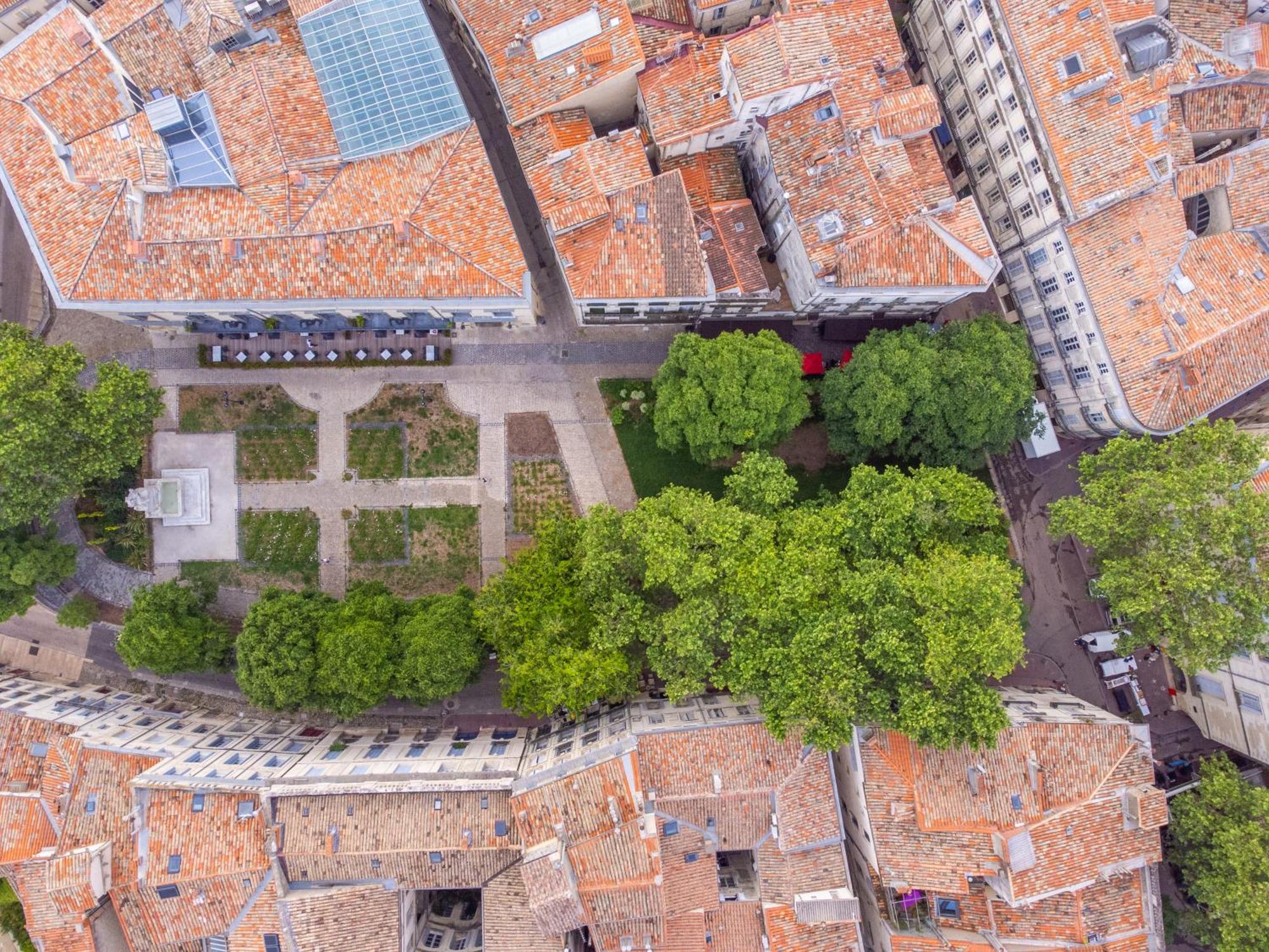 Le Platane De La Canourgue Montpellier Exterior foto